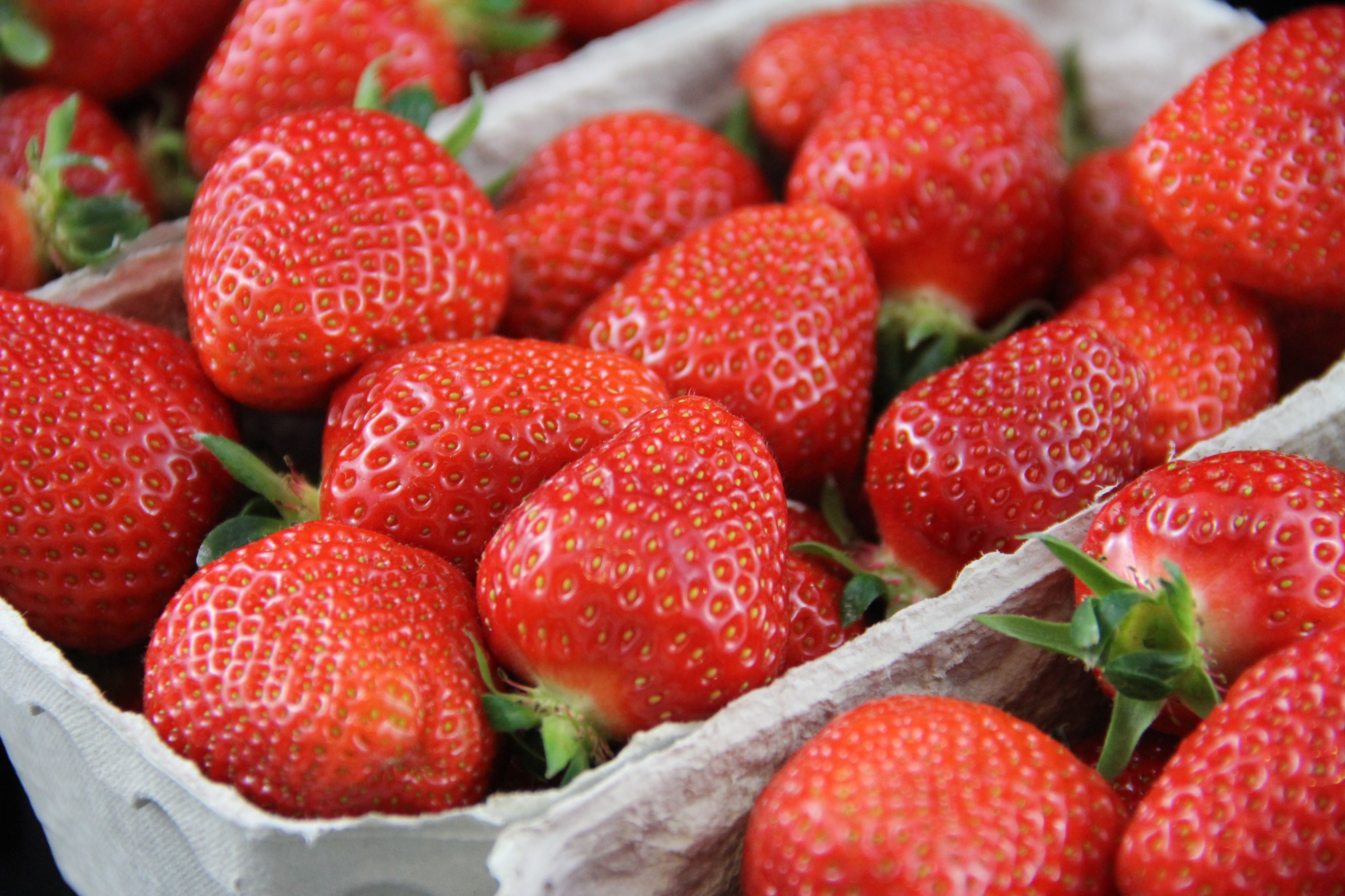 Erdbeeren