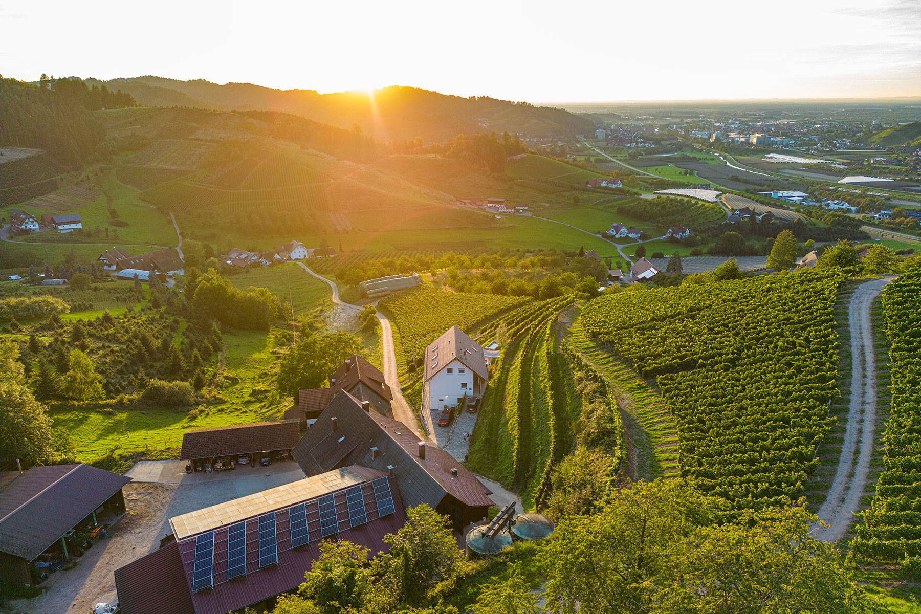 Paradieshof mit Sonne