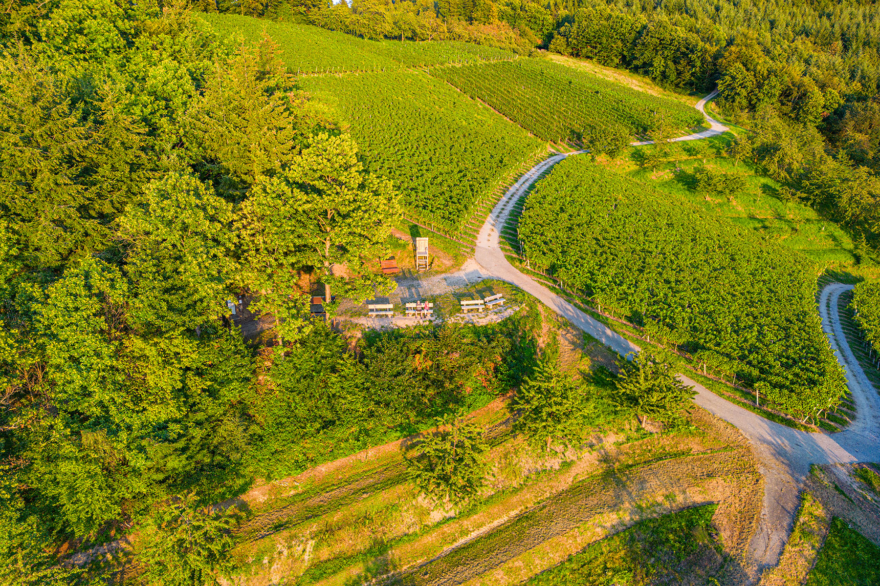 Hofweg
